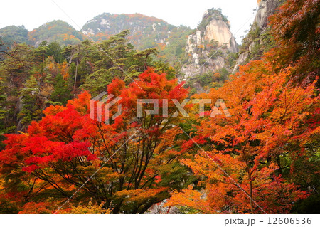 昇仙峡　覚円峰紅葉 12606536