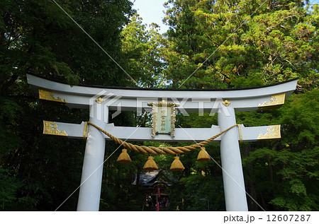 秩父三社の一つの寶登山神社 12607287