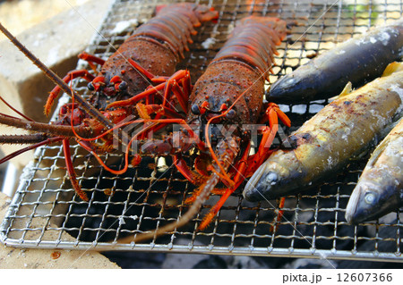 伊勢海老とアユ 12607366