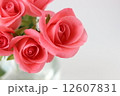 ピンクのバラ 12607831