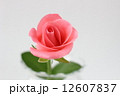ピンクのバラ 12607837
