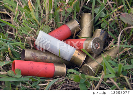 cartridges cartridges 12608077