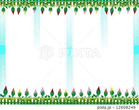 バラのフレーム、薔薇、エコ 12608249