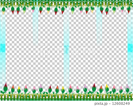玫瑰框架，玫瑰，生態 12608249