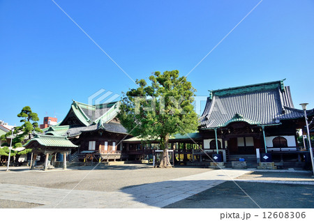柴又帝釈天 12608306