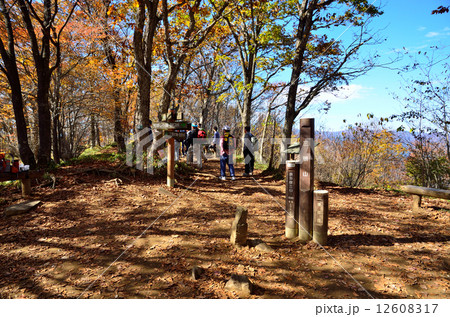 三頭山　 12608317