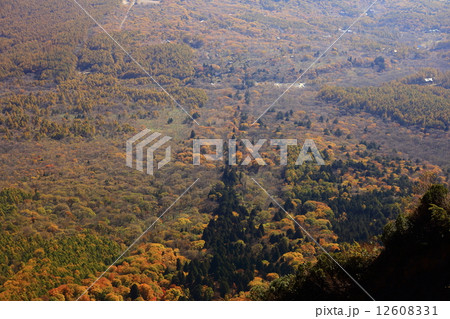 戸隠山から見た戸隠神社の紅葉 12608331
