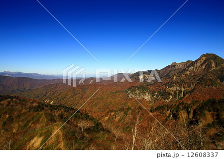 戸隠山から見た麓の紅葉 12608337