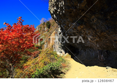 戸隠山の百間長屋 戸隠山の百間長屋 12608467
