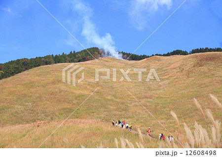 秋の高原 12608498