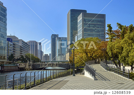 秋の中之島公園 12608539