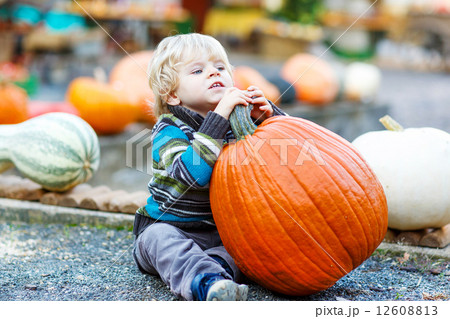 Little cute child sitting with huge pumpkin on halloween or than 12608813