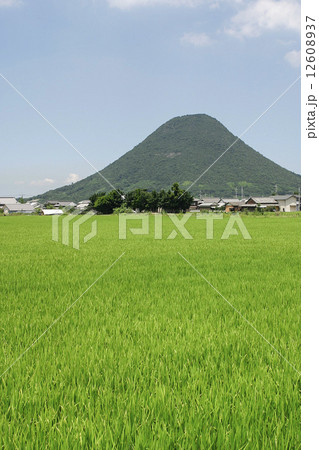 山 12608937