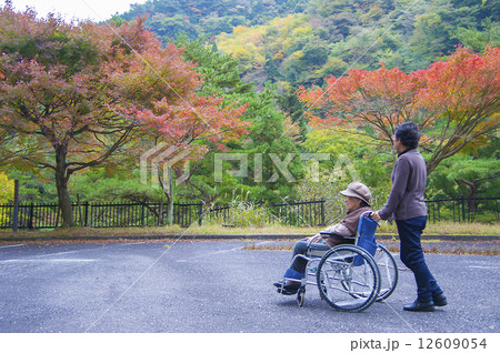紅葉の山で介護の旅 12609054