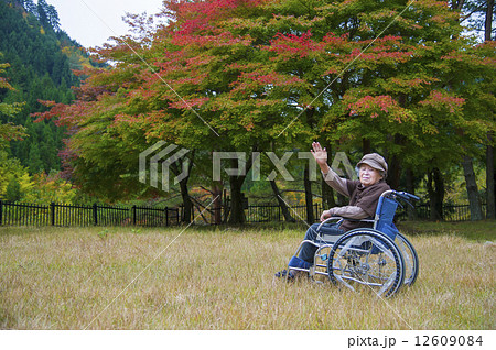 紅葉の山を眺める車いすの女性 12609084
