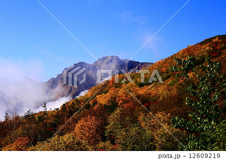 唐松岳登山道からの紅葉風景 12609219