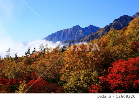 秋の唐松岳登山道 秋の唐松岳登山道 12609220