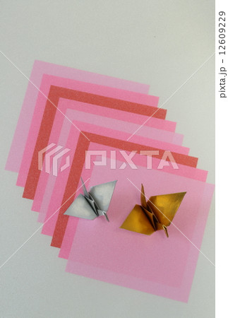 折り鶴 12609229