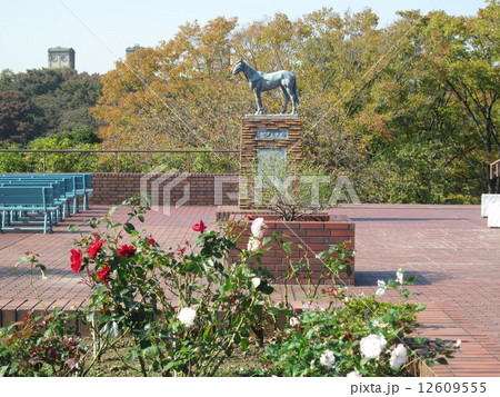 馬の博物館・根岸森林公園　競馬場跡 12609555