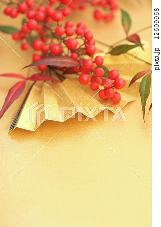 お正月のイメージ 12609968