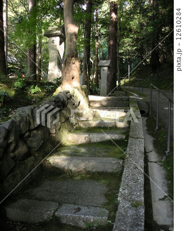 今熊野観音寺    石段 12610284