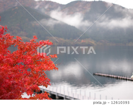 芦ノ湖の紅葉写真 芦ノ湖の紅葉写真 12610393
