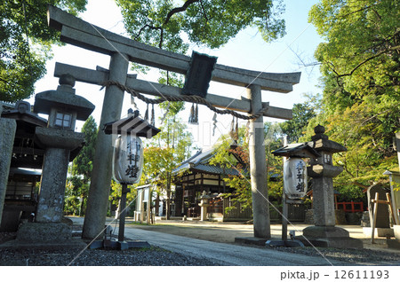 京都　新熊野神社 12611193