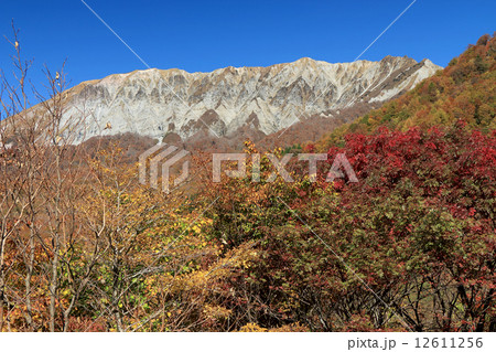 大山の紅葉（鍵掛峠） 12611256