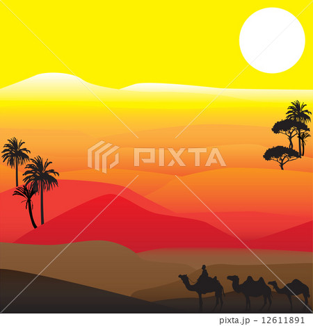 silhouettes of african desert 12611891