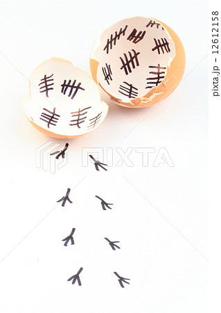 empty egg shells 12612158