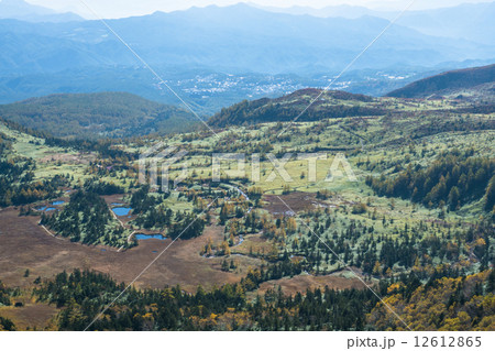芳ヶ平湿原 12612865