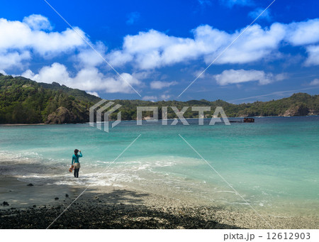 小笠原のビーチ 小笠原のビーチ 12612903