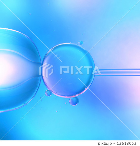 In Vitro In Vitro 12613053