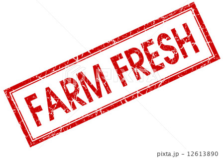 Farm fresh red square grungy stamp isolated on white background 12613890