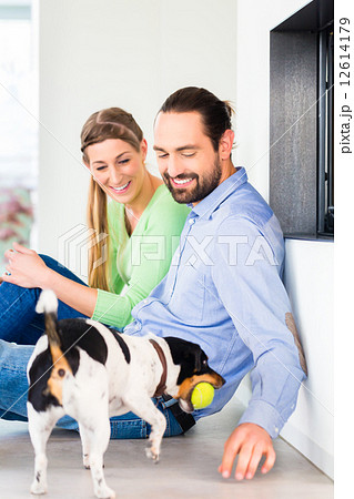Couple sitting in living room floor playing with dog 12614179