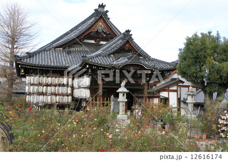 奈良県橿原市にある「おふさ観音（観音寺）」 12616174