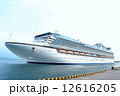 ダイヤモンド・プリンセス 12616205