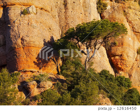 La Mola, Sant Llorenc Natural Park 12616450