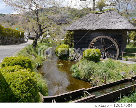 忍野八海(oshino) 忍野八海(oshino) 12617004