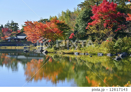 昭和記念公園 日本庭園 秋 12617143