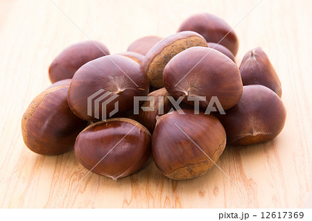 丹波栗 12617369