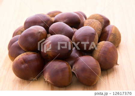 丹波栗 12617370