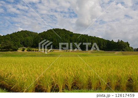 鶴のおかげ米 鶴のおかげ米 12617459