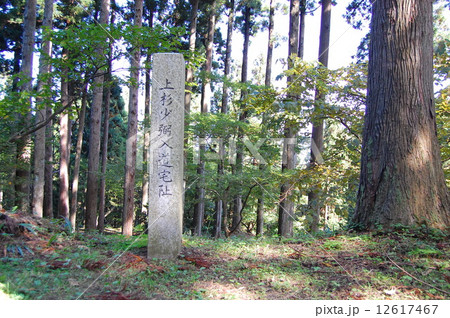 春日山城 100名城 春日山城 100名城 12617467