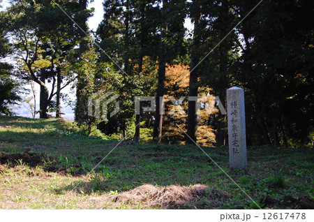 春日山城 100名城 春日山城 100名城 12617478