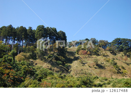 春日山城　100名城 12617488