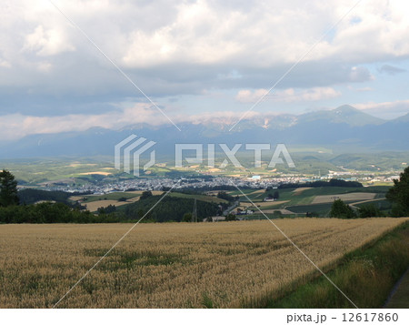 千望峠から望む十勝連峰 12617860