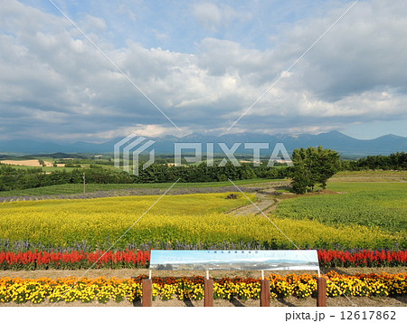 深山峠から望む十勝連峰と花畑 深山峠から望む十勝連峰と花畑 12617862