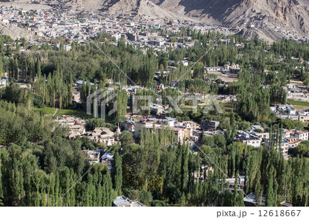 View of Leh city 12618667