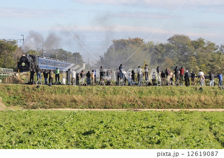 両毛線ＳＬ撮影 12619087